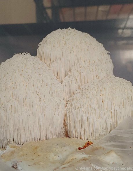 fans uniquement dadolescents haut nu archive