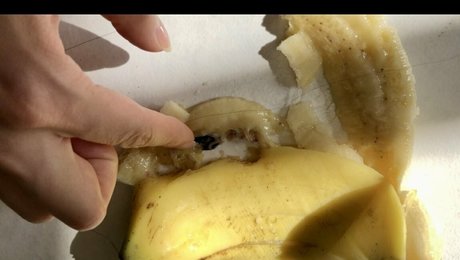 cosplay noir uniquement pour les fans meilleur archive