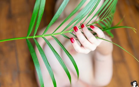 Espiona star du porno érotique galeries