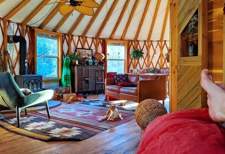 Hallee Hirsh étoile nue galerie