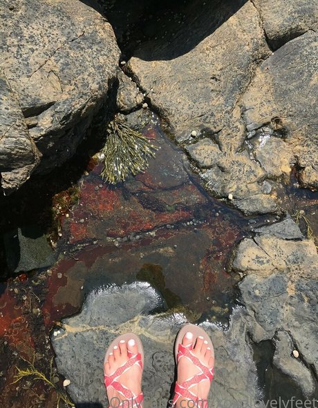 xoxolovelyfeet étoile hd images