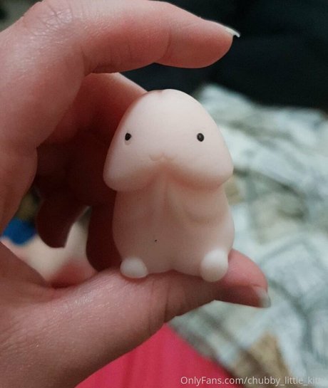 chubby little kitty Profilfoto