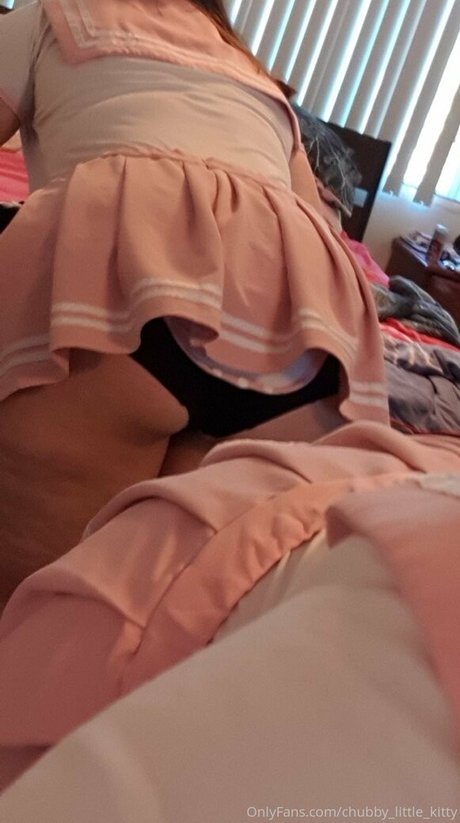 chubby little kitty actrice artistique photos