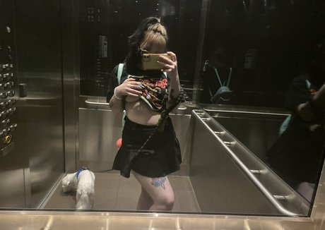 getmeoffpls étoile nue image