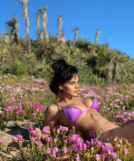 Leticia Lima art star du porno collection