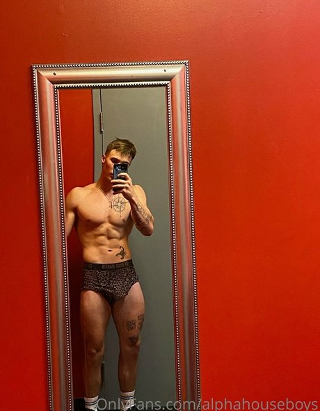 alphahouseboys nus star du porno collection