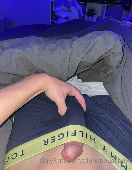 alphahouseboys star du porno xxx image