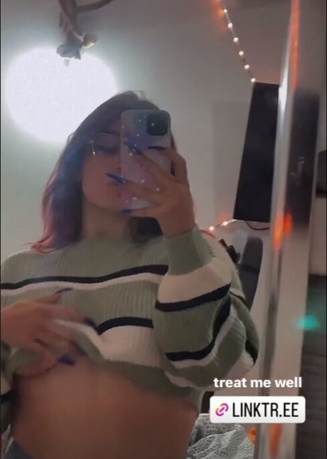 ok nessy meilleur modèle img