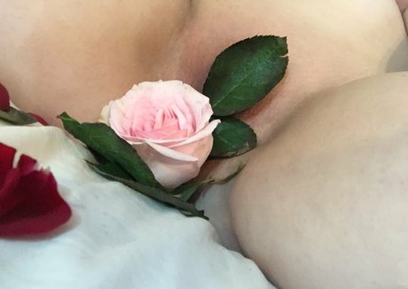 bikini ébène onlyfans haute qualité image