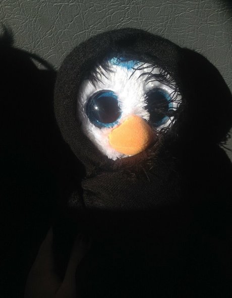 geminiscamp actrice artistique archive