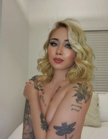 ChunLybia art modèle archive