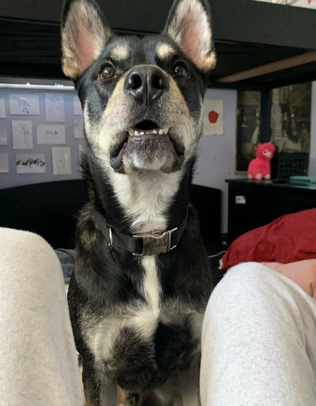 unethrealfree modèle de haute qualité img