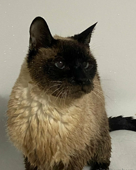 freebunbun actrice de nus collection