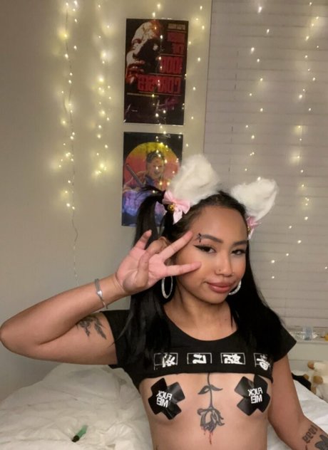 Cherrymve étoile gratuite galeries