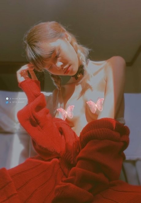 lacsapess modèle gratuit galerie