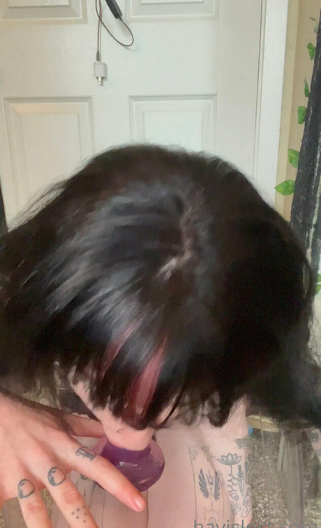 hayislost free modèle de haute qualité image