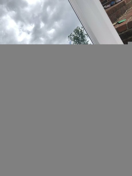 wickedwildrose star érotique galerie