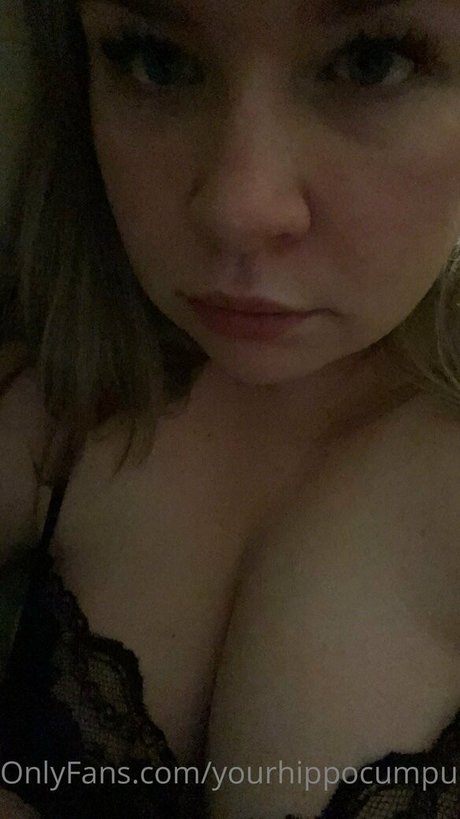 fans noirs uniquement haut de gamme collection