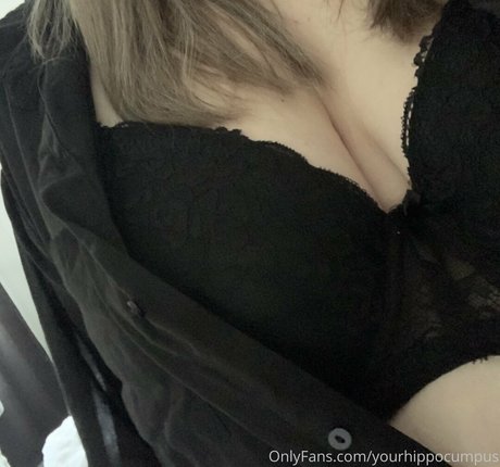 yourhippocumpus art étoile galerie