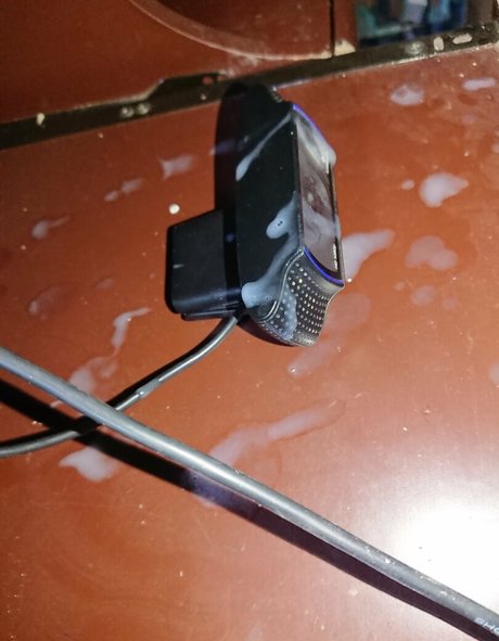 abigael sanchez modèle artistique archive