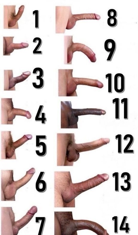 curvylucina joli modèle galeries