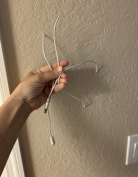 mustbecoralee star du porno collection