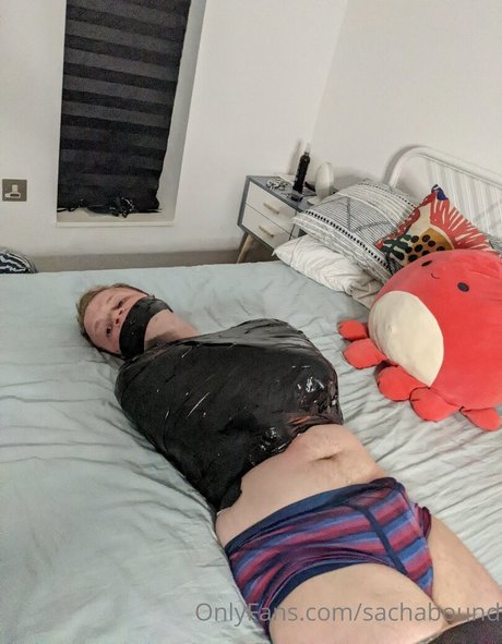 sachabound meilleure star du porno archive