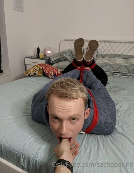 sachabound étoile hd photo