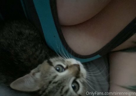 sirenreignn star du porno archive