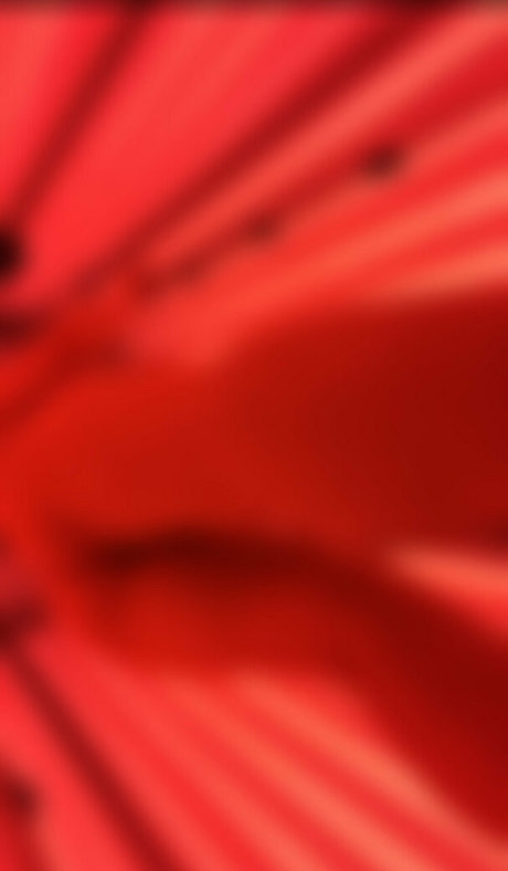 cupidoutlaw nus star du porno archive