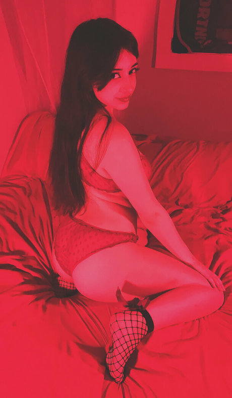 nocturnekitty nus étoiles images