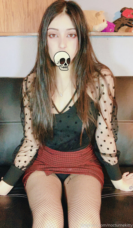 nocturnekitty étoile parfaite des photos