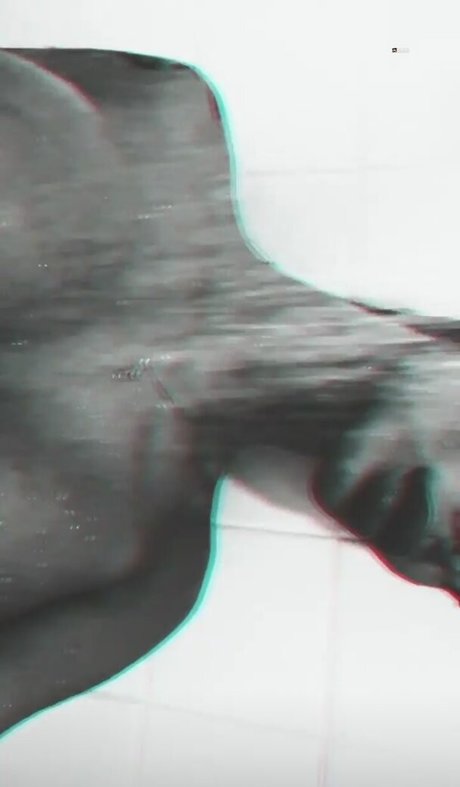 Priscillaspiridis modèle de haute qualité image