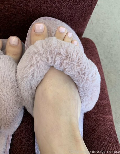 realgarnetrose Profilfoto