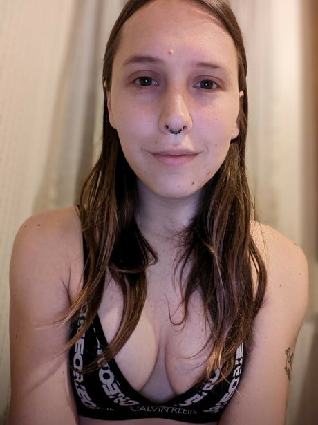 Salandrical étoile hd img