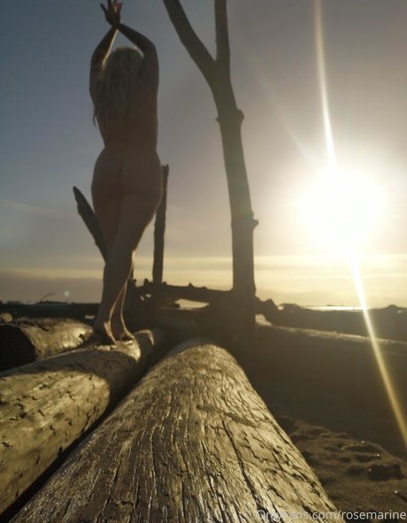 rosemarine art étoile image