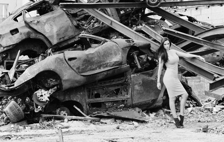 Feudebengale étoile img