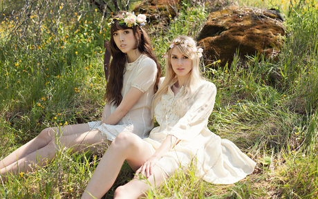 chaton potelé uniquementfans beau meilleur galeries