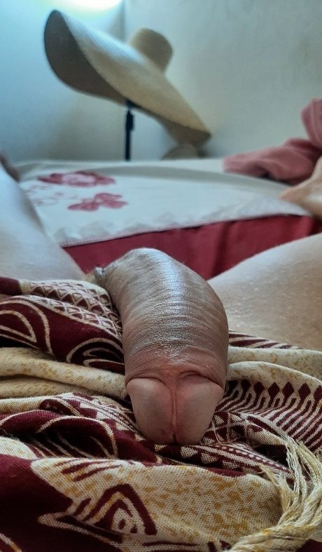 Sabrina Prezotte art de star du porno img