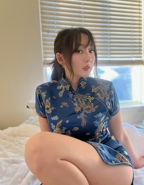 Ceweina étoile parfaite galeries