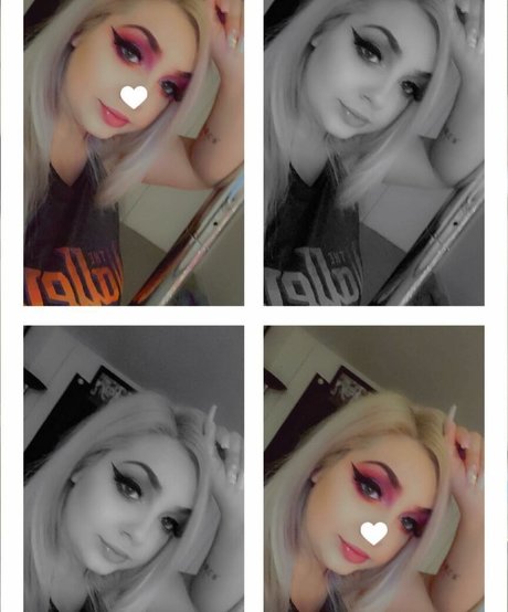 chaton potelé uniquementfans joli photo