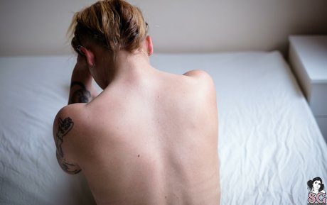 Newbs xo art modèle collection