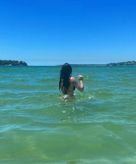 Sirenkahls étoile img