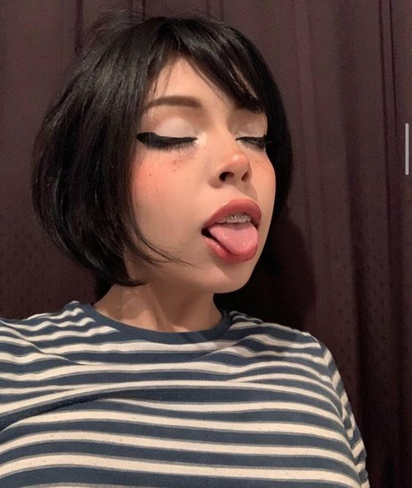 Didiwinx étoile adulte photo