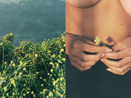 fellation asiatique onlyfans assez gratuit img