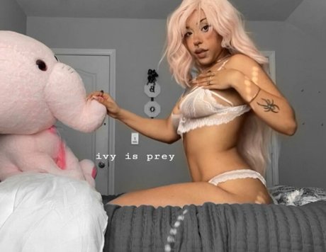 IvyPrey belle star du porno archive