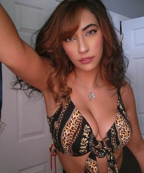 Katzillaax3 star du porno en haute qualité collection