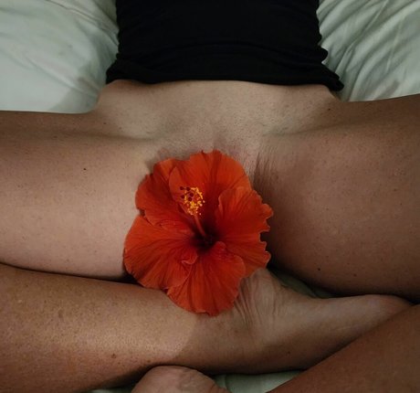 ValhallaSmokeShow top star images