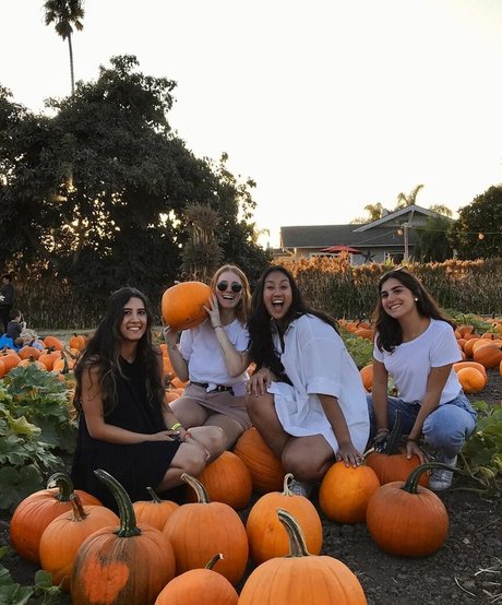 Sammy Jerrard star pornographique collection