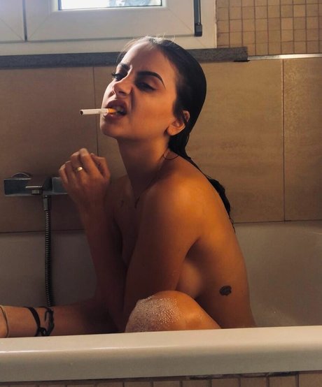 sfac elo haut de star du porno collection